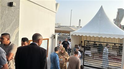 المصريون في أرمينيا يتحدون برودة الطقس ويواصلون المشاركة في انتخابات مجلس النواب 2025