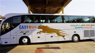 4 شركات حكومية توفر أتوبيسات لزائري معرض TransMEA 2025 بـ 9 محافظات