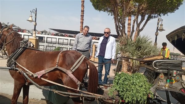 محافظ الأقصر وجولة