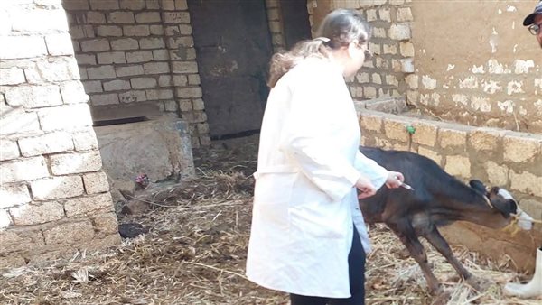 جانب من حملات الطب