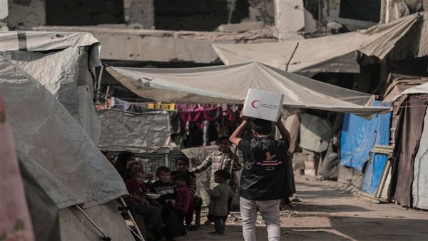 اللجنة المصرية في