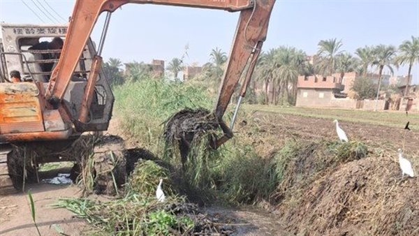 تطهير الترع بأسيوط