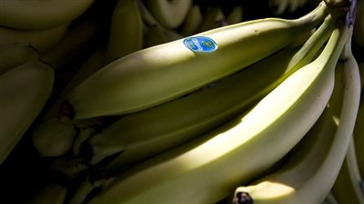 دراسة تحذر من إضافة الموز إلى أي عصير صحي