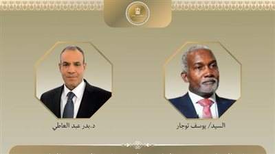 اتصال هاتفي بين وزير الخارجية ونظيره النيجيري لبحث سبل تعزيز العلاقات الثنائية