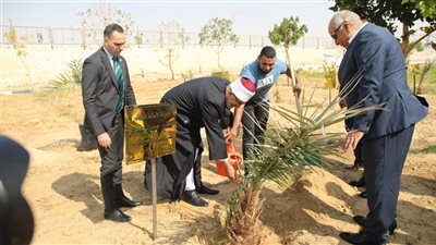 في رسالة رمزية للعطاء والبناء.. المفتي يغرس نخلة بالوادي الجديد دعمًا للتنمية الزراعية