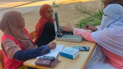 انطلاق فرق التأمين الطبي وفرق المبادرات بانتخابات مجلس النواب في الوادي الجديد