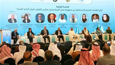 وزير البترول: شركات مصرية تستعد لتنفيذ مشروعات كبرى في السعودية والإمارات وعمان