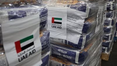 مستشار الرئيس الإماراتي: أبو ظبي تستبعد المشاركة حاليا ضمن القوة الدولية في غزة