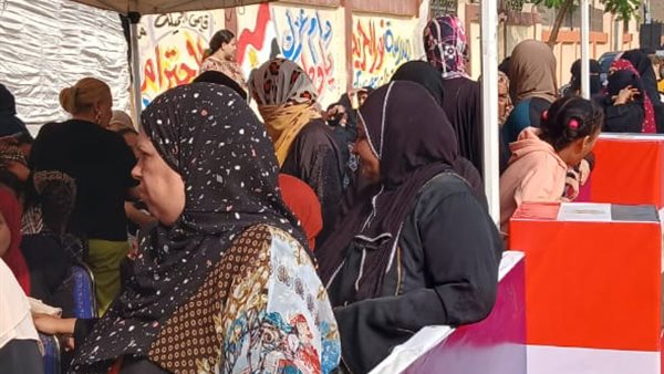 انتخابات مجلس النواب-أرشيفية