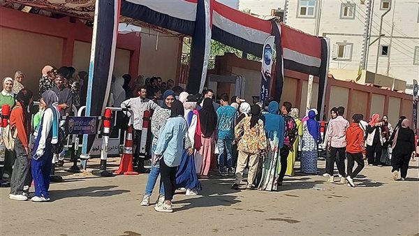 اللجان الانتخابية