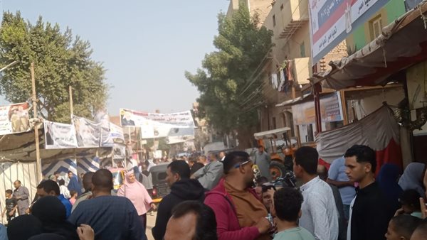 جانب من الانتخابات