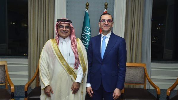 وزير الاستثمار ونائب