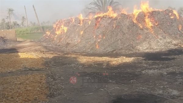 حريق يلتهم عصارة