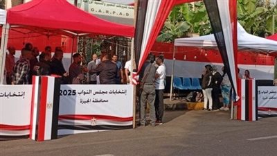 ضبط طالب بحوزته ورقتا تصويت مزيفتان داخل لجنة انتخابية بالصف