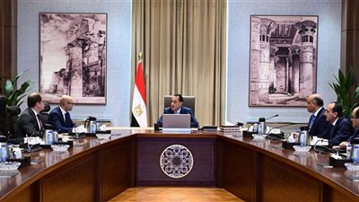 رئيس الوزراء يلتقي سكرتير عام المحكمة الدائمة للتحكيم