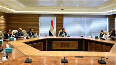 مدبولي يبحث مع وزير الصحة الهندي تعزيز التعاون في مجالات الدواء والأسمدة ورقمنة الخدمات الصحية