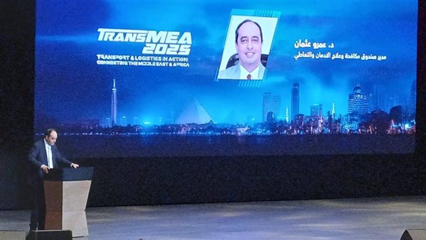 عمرو عثمان - مدير