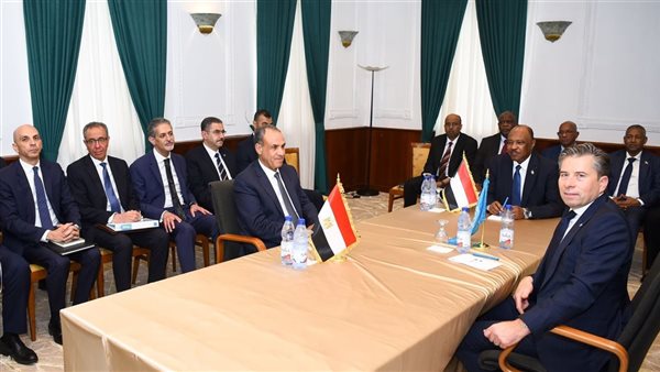 لقاء وزير الخارجية