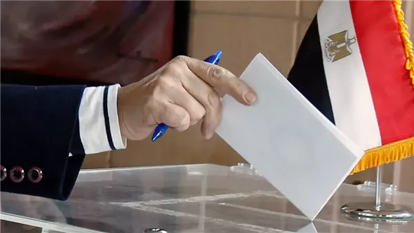 الانتخابات - تعبيرية