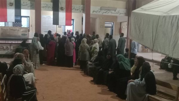 انتخابات الوادى الجديد