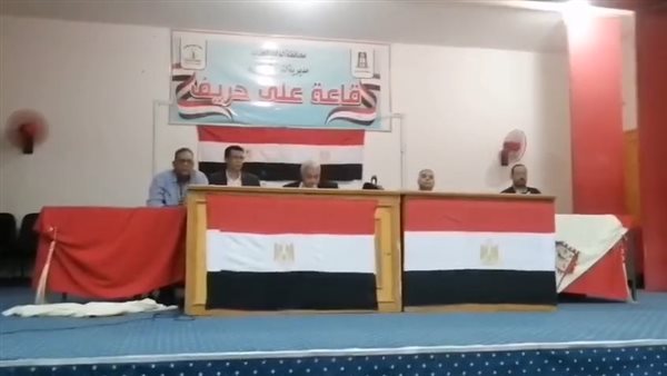 انتخابات الوادي الجديد