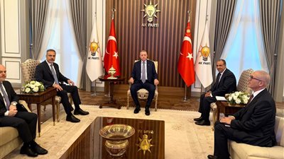 وزير الخارجية يلتقي الرئيس التركي ويسلمه رسالة من السيسي