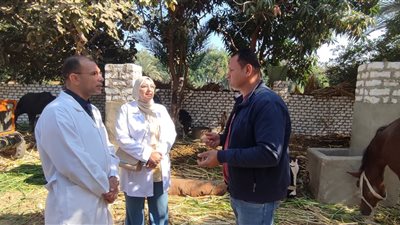 إطلاق قوافل بيطرية لتحصين المواشي في سوهاج