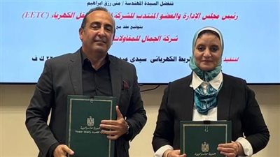 مشروع جديد لدعم الشبكة القومية.. نقل الكهرباء تنفذ خط سيدي عبد الرحمن – الضبعة بجهد 220 ك.ف