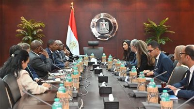 وزارة الاستثمار تبحث مع وفد ستاندرد بنك تعزيز التعاون الاقتصادي بين مصر وإفريقيا