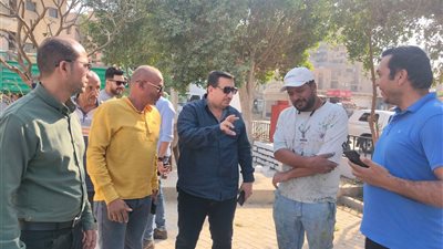 ضمن الهوية البصرية.. متابعة تطوير وتجميل متنزهات شارع المحطة بطهطا في سوهاج