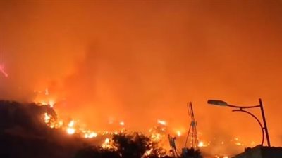حالة استنفار بالجزائر.. الحرائق تتواصل في الغابات والدفاع المدني يدفع بجميع الوحدات للسيطرة
