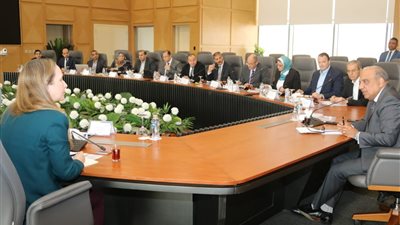 وزير الكهرباء يبحث مع البنك الدولي دعم وتعزيز سبل الشراكة والتعاون بمجالات الكهرباء والطاقات المتجددة