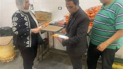 ضبط 3.3 طن من مفروم اللحوم والدواجن غير صالحة للاستهلاك بالدقهلية