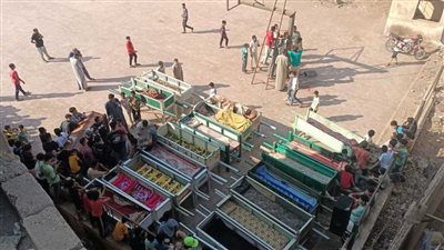 مكن المتهم من القيادة دون رخصة.. تأييد سجن مالك التريلا المتسببة في مصرع بنات كفر السنابسة 5 سنوات