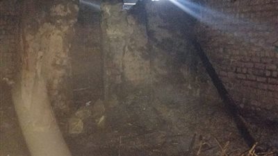 نفوق عجل.. حريق يلتهم حوش مواشي في سوهاج