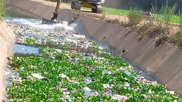 عمليه التطهير