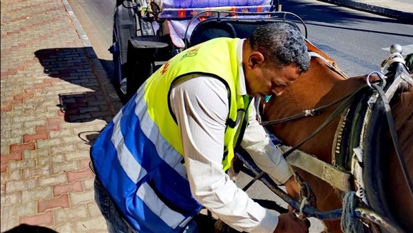 حملات على عربات الحنطور