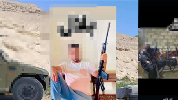 العناصر المسلحة