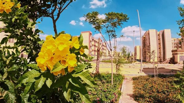 المظهر الحضاري بالمدن