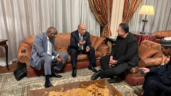 جانب من الجلسة 