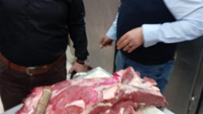 ضبط 75 طن لحوم غير صالحة للاستهلاك الآدمي بالقليوبية