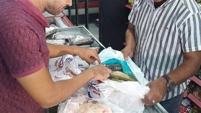 حملة تفتيش بيطرية تضبط سلعًا منتهية الصلاحية بمدينة القصير| صور