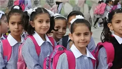 لا توجد إصابات داخلية.. ننشر التقرير الطبي لحالة طفلة حادث الزحليقة بمدرسة مصر الجديدة│خاص