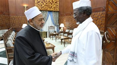 الإمام الأكبر: 500 طالب تشادي يدرسون في الأزهر.. ومستعدون لزيادة المنح الدراسية