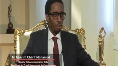 وزير الإعلام التشادي: تجربة الرئيس السيسي في مكافحة التطرف والإرهاب ملهمة للقارة الإفريقية