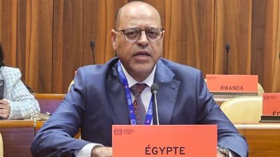 وزير العمل يشارك في اجتماعات مجلس إدارة منظمة العمل الدولية بجنيف