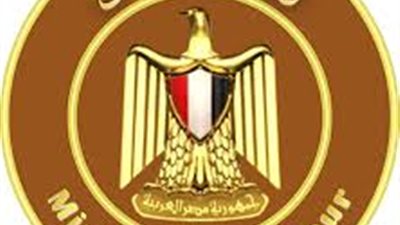 القليوبية تعلن توفير 329 فرصة عمل ضمن النشرة القومية للتوظيف حتى نهاية ديسمبر 2025