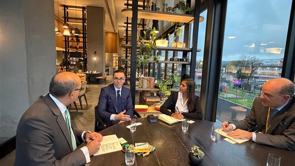 وزير الاستثمار