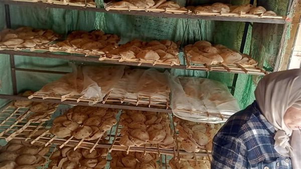 جانب من الحملة التموينية