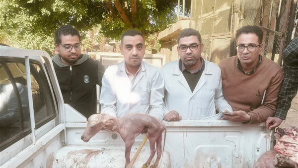 جانب من المضبوطات